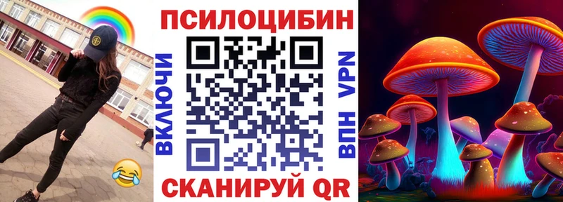 Купить где Касли Псилоцибиновые грибы Psilocybine cubensis